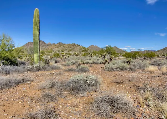 Apartment 'la Paloma' - Full Circle Ranch W/ Views!