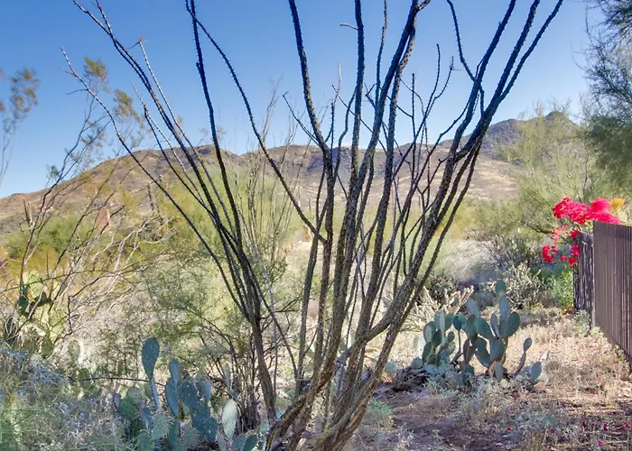 'la Paloma' - Full Circle Ranch W/ Views! Apartment Cave Creek